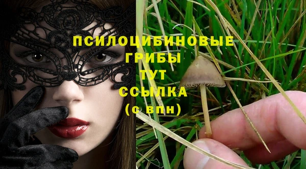 spice Арсеньев