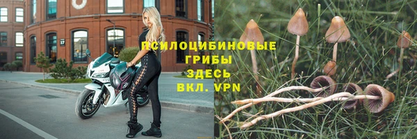 МДПВ Аркадак
