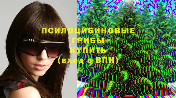 spice Арсеньев